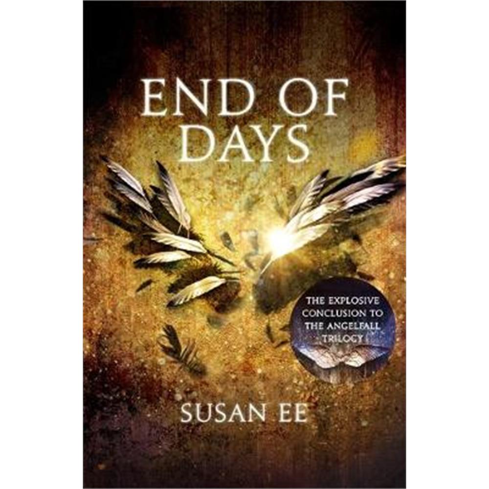End of Days (Paperback) - Susan Ee